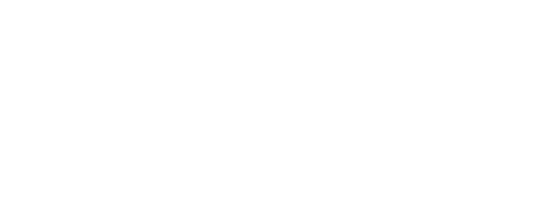 Tex Wex Beard Company